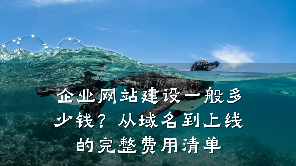 企业网站建设一般多少钱？从域名到上线的完整费用清单