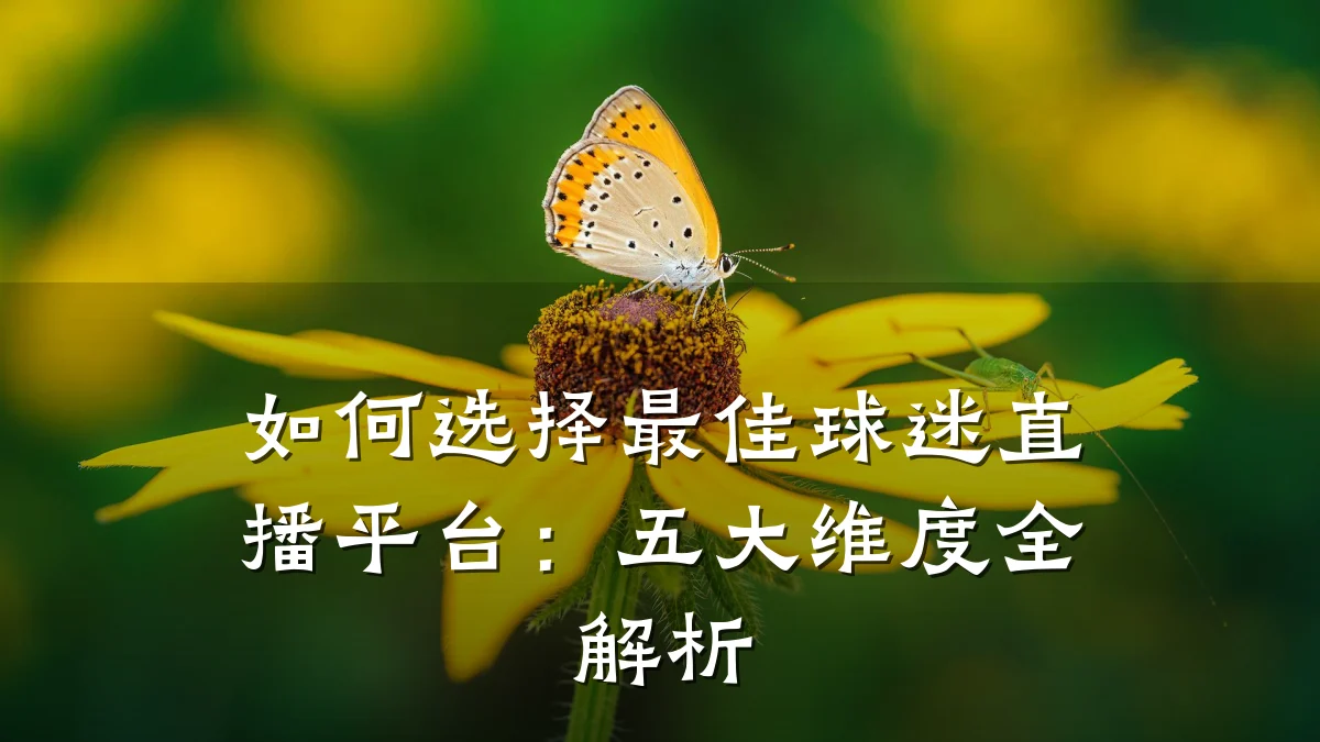 如何选择最佳球迷直播平台:五大维度全解析