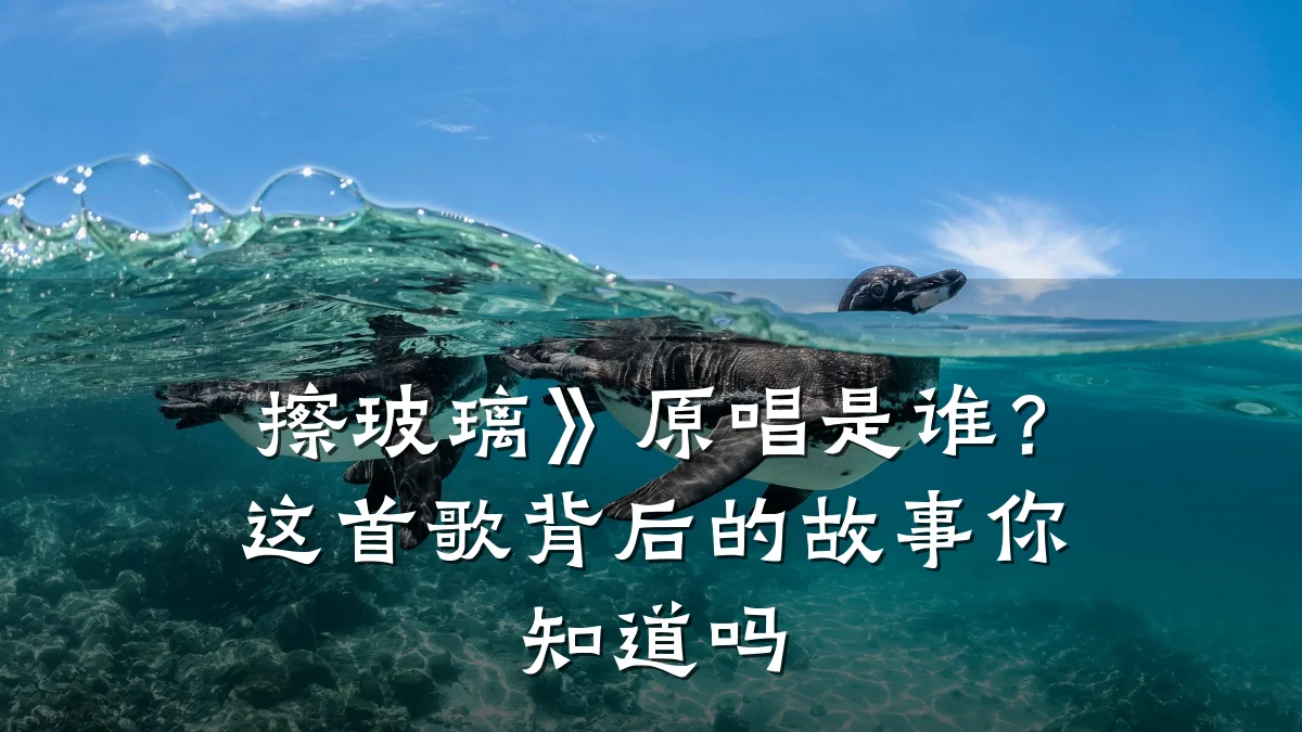 擦玻璃》原唱是谁?这首歌背后的故事你知道吗