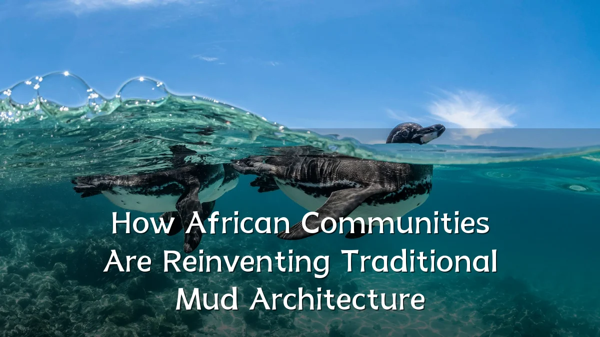 How African Communities Are Reinventing Traditional Mud Architecture