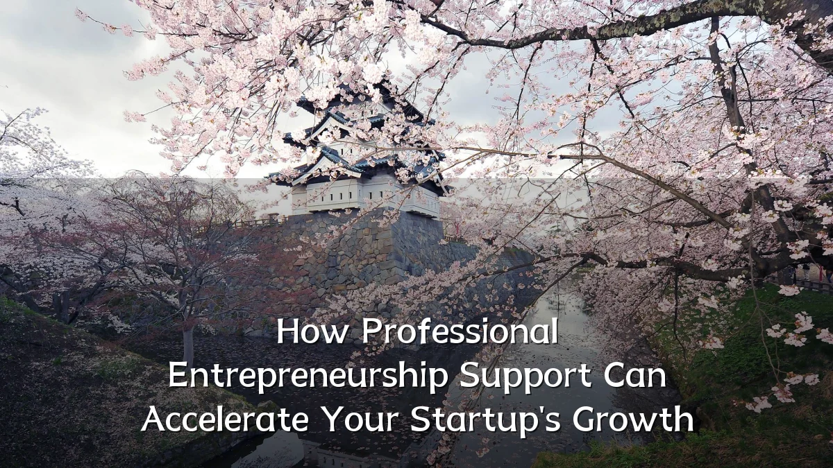 How Professional Entrepreneurship Support Can Accelerate Your Startup's Growth