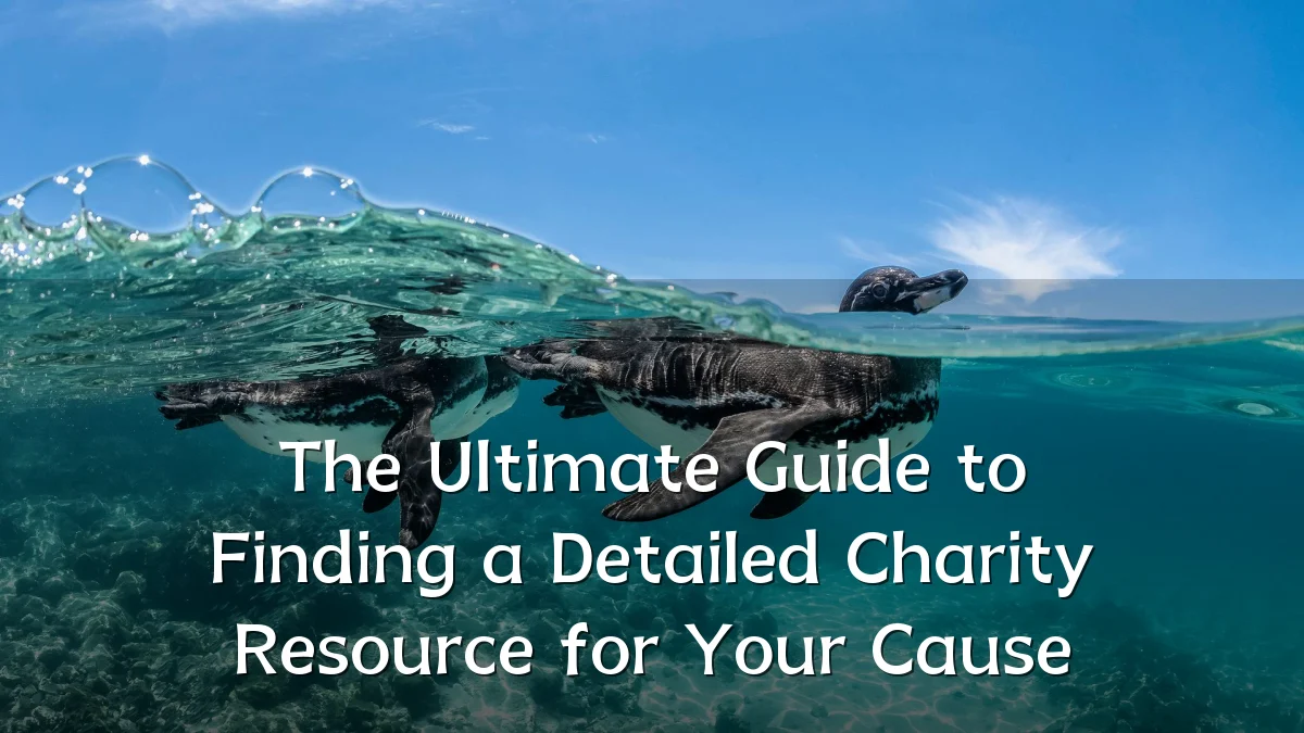 The Ultimate Guide to Finding a Detailed Charity Resource for Your Cause