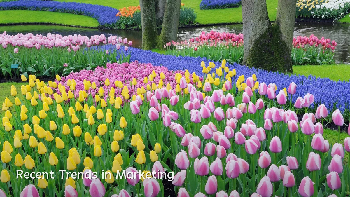 Recent Trends in Marketing