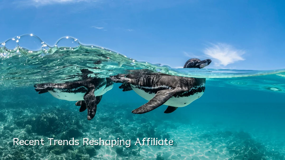 Recent Trends Reshaping Affiliate