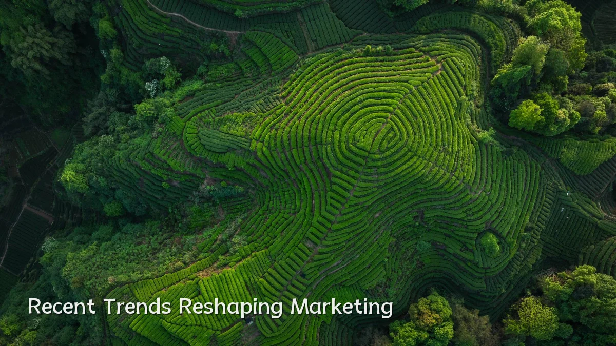 Recent Trends Reshaping Marketing