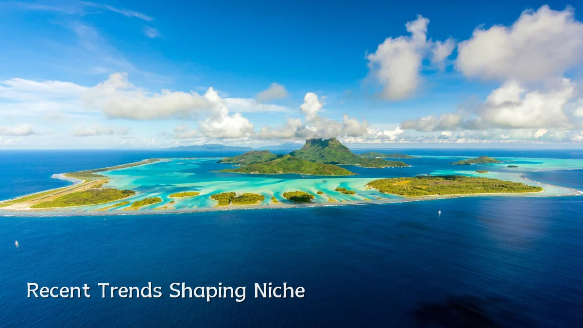 Recent Trends Shaping Niche