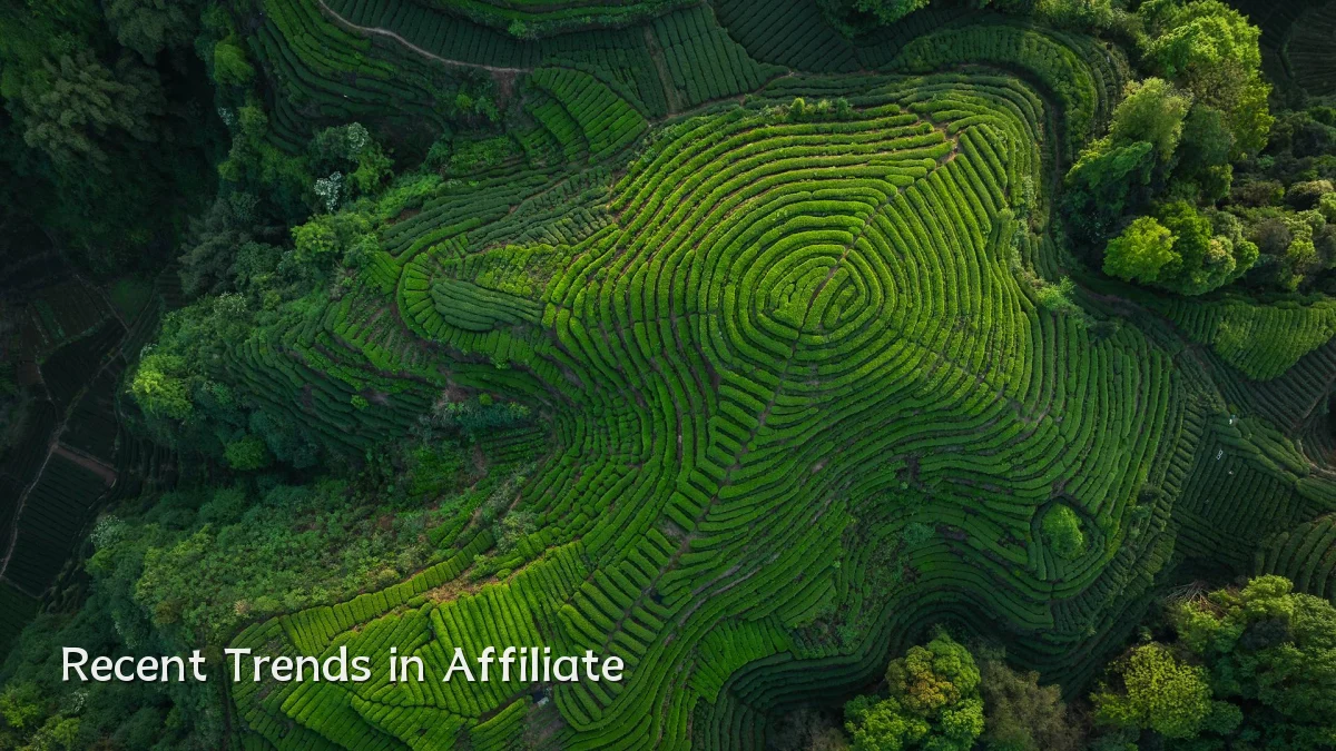 Recent Trends in Affiliate