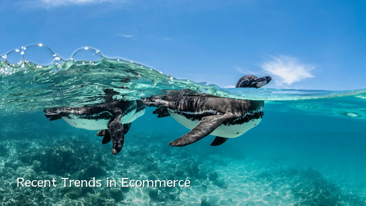 Recent Trends in Ecommerce
