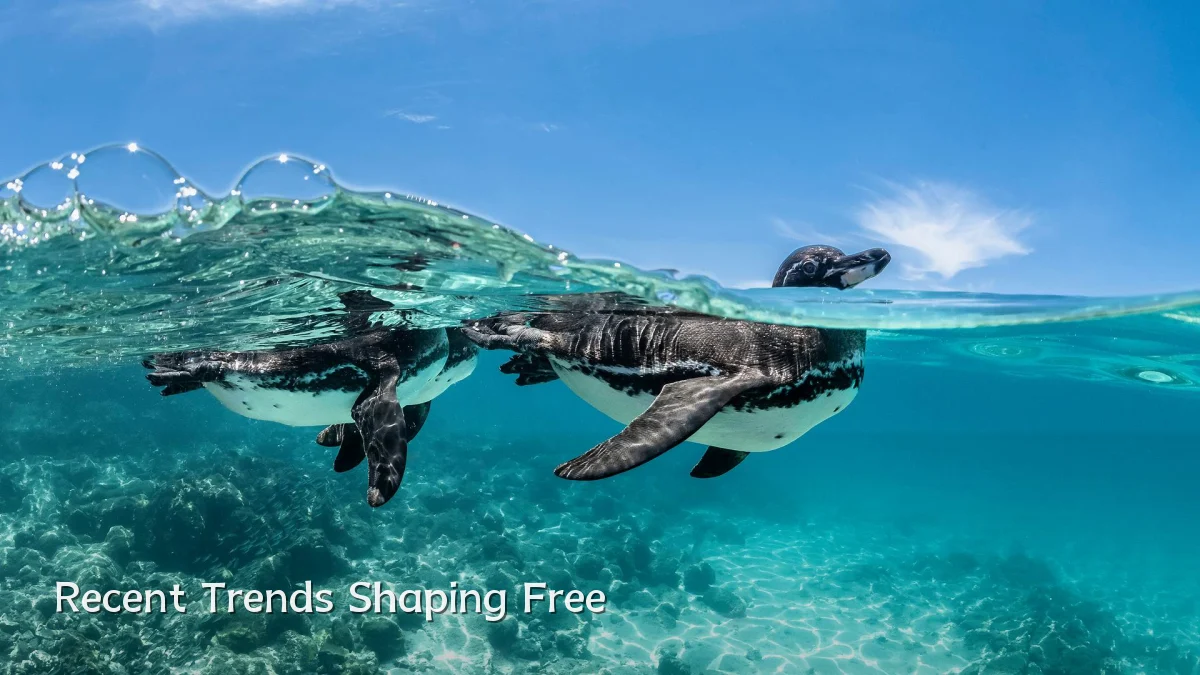 Recent Trends Shaping Free