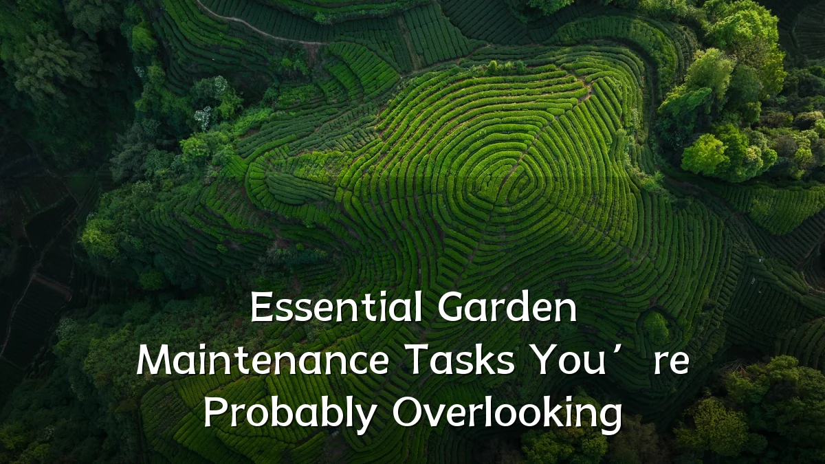 Essential Garden Maintenance Tasks You’re Probably Overlooking