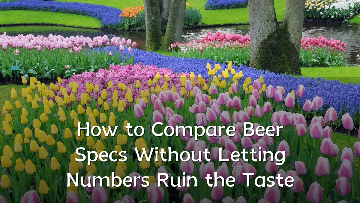 How to Compare Beer Specs Without Letting Numbers Ruin the Taste